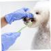 Levemolo 1pc Pet Single Head Toothbrush Brush Teeth Care Brush Dog Toothpaste Plastic - Buy Online on GoSupps.com