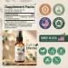 Inerth Naturals Liposomal Vitamin B12 Sublingual Spray 1000 mcg Methylcobalamin | Fast Absorbing Energy Support | Plant Based Non GMO Vegan | 60 Day Supply - Buy Online on GoSupps.com