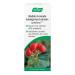 A.Vogel Bladder Formula | Mild Diuretic for Urinary Tract Irritations | Fresh Organic Extract of Uva-ursi (Bearberry) and Echinacea purpurea | Releievs Burning Sensation and Frequent Urination | Sugar Lactose and Gluten Free | Vegan and Cruelty-free | 50 