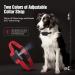 QueenMew Anti Barking Dog Collars Auto Citronella Collar for with 2 Straps Spray Sensitivity Level Safe Training Small Medium Large Dogs Black Red-2 - Buy Online on GoSupps.com