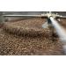 Bridgehead Coffee- Bytown Boom- 6 pack | Dark Roast Coffee | Ground Coffee | 340 g - 12 oz eack pack | Organic | Fairtrade | Sustainable | proudly Canadian Bytown Boom 2.04 kg (Pack of 1) - Buy Online on GoSupps.com