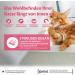 Wellness Core Sterilized Ocean Cat Food - Grain-Free High Meat Salmon & Tuna 300g Pack for Adult Sterilized Cats - Buy Online on GoSupps.com