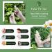Buy Terra Pafe Comfrey Aromatic Stick Balm - Soothing Relief from Bug Bites (2pcs 0.24oz) - International Shipping Available - Buy Online on GoSupps.com