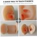 Operitacx Silicone Ear Model - Educational Ear Acupoint Learning Tool - Buy Online on GoSupps.com