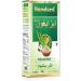 HAMDARD Isabgol Natural Psyllium Husk | Plant-Based Dietary Fiber | 100gm - Buy Online on GoSupps.com