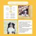 Canimove Immune Maxi - EPA70 + Tragant + Enovita OPC for Dogs | 100 Capsules - Immune Support Supplement - Buy Online on GoSupps.com