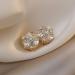 Feyley Magnetic Clip-On Earrings for Women & Girls | Round Pickled Zircon Fashionable Silver Earrings - Buy Online on GoSupps.com