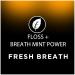 DenTek Fresh Breath Floss Picks - Mint Flavor 400 Count | International Shipping Available - Buy Online on GoSupps.com