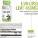 Solaray Uva Ursi 460 mg - 100 VegCaps | Natural Herbal Supplement - Buy Online on GoSupps.com