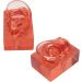 Transparent Acrylic Ear Model for Right Ear - Ideal for Observation | Buy Internationally - Buy Online on GoSupps.com