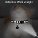 Personalized LaReine Cat Collar 2 Pack - Reflective Breakaway Kitten Collar with Name Tag, Bell, and Phone Number - Adjustable Size for Girls & Boys - Buy Online on GoSupps.com