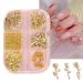 RIICFDD Gold Nail Art Charms 3D Rose Charms for Nails  6 Grids Golden Flower Nail Charms Star Nail Gems Round Nail Art Supplies Beads Luxurious Design Nail Accessories Lines for Women Girls