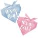 It's A Girl and It's A Boy Gender Reveal/Baby Announcement Dog Bandana Sold Together One Size It's A Girl And It's A Boy (Pack of 2)