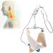Shop Household Cervical Vertebra Support - Traction Device & Stretcher for Neck Pain Relief | International Shipping - Buy Online on GoSupps.com