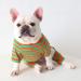 BT BEAR Colorful Striped Pajamas for Dogs | Soft Cotton One-Piece Costume for Bulldogs Puppies & Small to Medium Dogs (L Green/Orange) - Buy Online on GoSupps.com