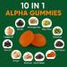 10-in-1 True Alpha Shilajit Gummies 4000mg Himalayan Alpha Gummies for Men Energy Boost Immune Support with Ashwagandha Maca Root Tongkat Ali Fulvic Acid 85+Trace Mineral No Added Sugar 60ct - Buy Online on GoSupps.com