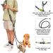 Hands Free Dog Leash for 2 Dogs Crossbody Double Dog Lead Rope for Running Walking Training Nylon Reflective Heavy Duty Dog Leash Belt for Large Medium Small Dogs (Black-2) - Buy Online on GoSupps.com