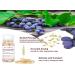 Vitamin C Face Oil - Anti-Aging Eye Serum with Hyaluronic Acid & Vitamin E | Brighten Skin Tone Reduce Fine Lines | 90 Capsules 50g - Buy Online on GoSupps.com