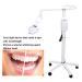 Adjustable Tooth Whitening Lamp for Clinics | Movable Tooth Bleaching Set with 5 Universal Wheels (EU) - Enhance Your Practice - Buy Online on GoSupps.com