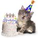 Cat Cake Topper Birthday Topper for Cat Party Decorations Happy Birthday Cake Topper Decoration for Pet Kitten Kitty Birthday Party Decorations 5 inch Colorful Cake Topper - Buy Online on GoSupps.com