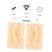 FOMIYES Ear Cleaning Practice Tools - Silicone Ear Model for Acupoint Learning & Hearing Aid Display - 9.5x6.5x4.5CM - Buy Online on GoSupps.com
