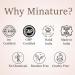 minature Body Butter - 50g (1.7oz) | Enriched with Orange oil | Shea Butter Cocoa butter Mango Butter | Non-Greasy Moisturizer | Vegan Cruelty-Free - Buy Online on GoSupps.com