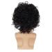 Wiwige Men's Short Curly Black Synthetic Rocker Wig for Halloween Costume - Wet Look Wig - Buy Online on GoSupps.com