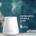 Air Wick Essential Mist Happiness Refill 0.67 Fl Oz - Aromatherapy Air Freshener - Buy Online on GoSupps.com