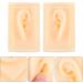 Silicone Ear Display Model - 1 Pair for Practice & Teaching | Realistic Ear Props for Hearing-Aid & Simulation - Buy Online on GoSupps.com