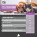 THORNELL AOE-G Animal Odor Eliminator 8 oz - Pet Odor Remover Spray - Buy Online on GoSupps.com