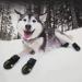 Truelove Waterproof Dog Boots with Reflective Straps - Pack of 4, Orange - Small, Medium, Large Sizes - Buy Online on GoSupps.com
