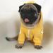 Meioro 5XL Yellow Zipper Hooded Pet Clothing for Dogs & Cats - Cute & Warm French Bulldog Pug & Siberian Husky Apparel - Buy Online on GoSupps.com