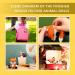 SO-CNITC Beginner Crochet Kit - Crochet Animal & Knitting Starter Kit with Instruction & Video Tutorials - Includes Yarn, Hook, Needle & Accessories - Perfect for DIY Fox Lovers - Buy Online on GoSupps.com