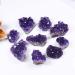 Natural Crystal Rough Crystal 1pc Natural Raw Amethyst Quartz Purple Crystal Cluster Stones Specimen Home Decoration Crafts Decoration Ornament (Size : 20-30g) - Buy Online on GoSupps.com