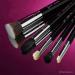 Buy SIGMA Beauty Most Wanted Makeup Brush Set 5 Essential Brushes for Flawless Foundation Highlighter Eyeshadow & Blending International Shipping Available - Buy Online on GoSupps.com