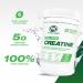 PVL 100% Pure Creatine - Creatine Monohydrate Micronized Powder - Creatine Powder Supplement for enhanced high-intensity performance - 300 g - Unflavoured 60 Servings (Pack of 1) - Buy Online on GoSupps.com