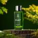 HARREL Cult Perfume Men - 100ml I Eau De Parfum with Bergamot Grapefruit Cedarwood & Neroli | Premium Long Lasting Spicy Fragrance - Buy Online on GoSupps.com