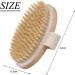 Premium Vegan Dry Body Brush | Natural Bristles Peeling Brush for Exfoliating Dead Skin Ideal for Bathing & Skincare - Buy Online on GoSupps.com