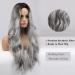 Long Gray Ombre Wig for Women | Synthetic Heat Resistant Cosplay Wavy Wig | Pelucas for Daily Party Use | 26 Inch - Buy Online on GoSupps.com