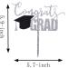 Topfunyy Congrats Grad Cake Topper Silver Acrylic Topper for Graduation/Grad Party Decorations - Buy Online on GoSupps.com