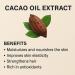 Haitian Gr s Cacao Oil 100% Pure & Organic Cold-Pressed Extract Deeply Moisturizing Body & Massage Oil Rich in Antioxidants & Vitamins Chocolate Aroma  - Buy Online on GoSupps.com