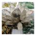 1 pc Natural Crystals Fluorite PyriteCrystal Stone Specimen Gift Home Decor
