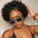 Short Curly Wigs for Black Women None Lace Pixie Cut Wig Short Human Hair Wigs for Black Women Human Hair Pixie Cut Wigs Human Hair Full Made Wigs Natural Color 1B Color