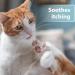 Felisept Skin Care Spray for Cats 250ml - Mite treatment for cats - Cat itchy skin relief - Cat dandruff treatment - Itching spray cat - Itch relief for cats - Skin care spray cats - Mild care - Buy Online on GoSupps.com