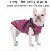 Luowan Waterproof Dog Coat for French Bulldogs | Warm Vest with Harness | Small Dog Jacket in Purple (S) - Buy Online on GoSupps.com