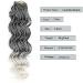 Goddess Box Braids Crochet Hair Silver Grey 14 Inch 5Packs/Lot | Synthetic Premium Fiber Braiding Hair | Tgrey - Buy Online on GoSupps.com