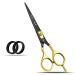 Wishbeauty 6" Professional Scissor for Hair Cutting Hair Dressing Thinning Shear Scissors UK Shears for Hair Cutting Barber Scissors for Professionals