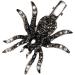 LALAFINA Spider Hairpin Kid Hair Accessories Hair Barrettes for Women Black Spider Hair Clip Halloween Bag Stuffer Black Hair Accessories Alloy Rhinestone Miss Filler Artificial - Buy Online on GoSupps.com