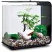 Buy Biorb 55026 Decor Set 15L - Realistic Artificial Aquatic Plants Roots & Stones for Freshwater & Saltwater Aquariums - Perfect Summer Decoration - Buy Online on GoSupps.com