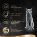 Sheba Sauce Lover - Premium Cat Food Variety Pack (32 x 85g) | Salmon Tuna Chicken & Duck - MSC Certified - Buy Online on GoSupps.com